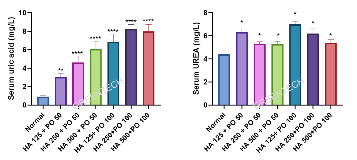 The serum UA and UREA levels of SD rat hyperuricemia model.png