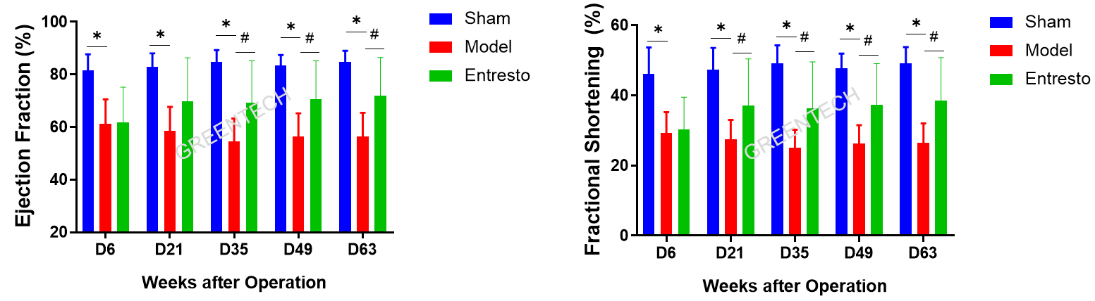 Cardiac function parameters in SD rats after LAD ligation.png