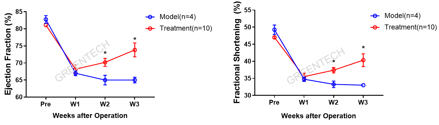 Cardiac function parameters in rhesus monkeys after LAD ligation.png