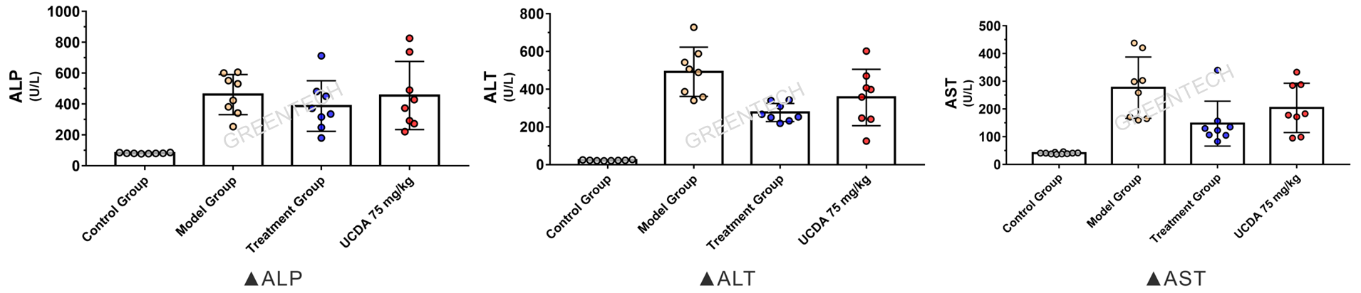 Evaluation of function of liver and gall in C57 mice feeding on 0.1% DDC diet for 8 weeks.png