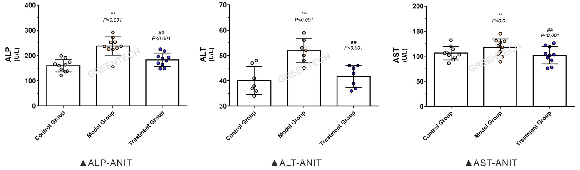 Evaluation of function of liver and gall in SD rats 4 weeks after ANIT induction.png