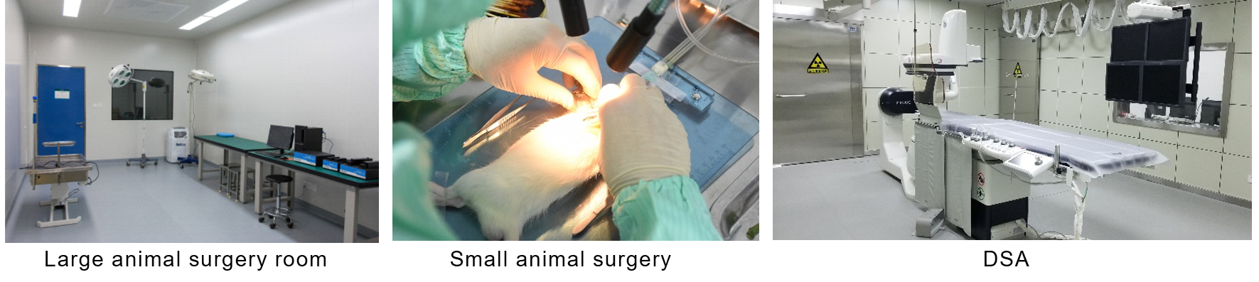 Animal surgery rooms at Greentech Bioscience.png