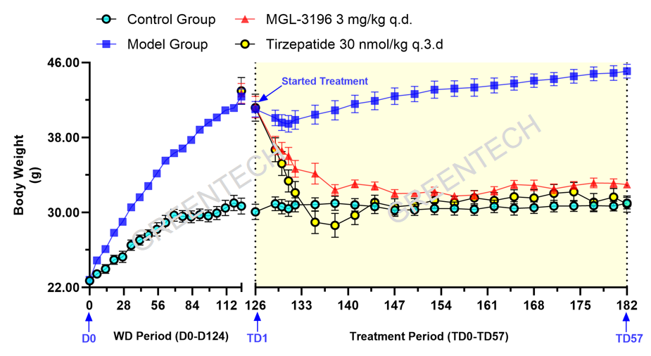 The Weight-Reducing Effects of THR-β Agonist MGL-3196 and GLP-1/GIP Receptor Agonist Tirzepatide in Gan diet induced NASH model.jpg