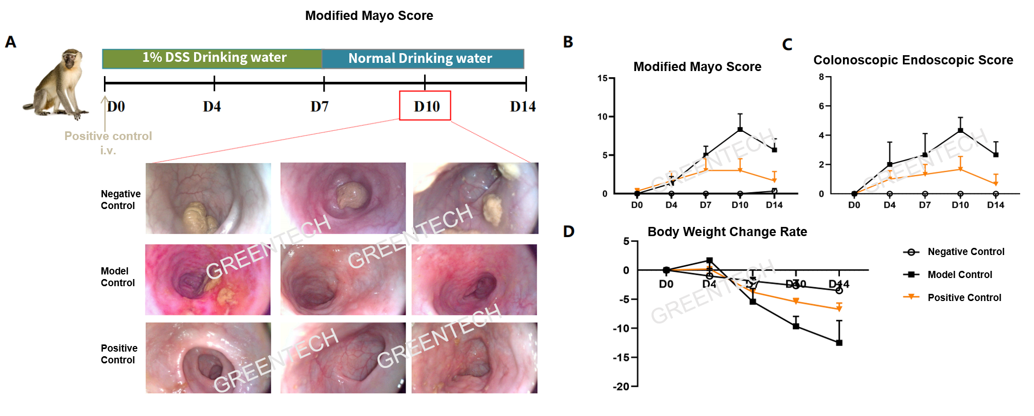DSS induced colitis in monkeys.png